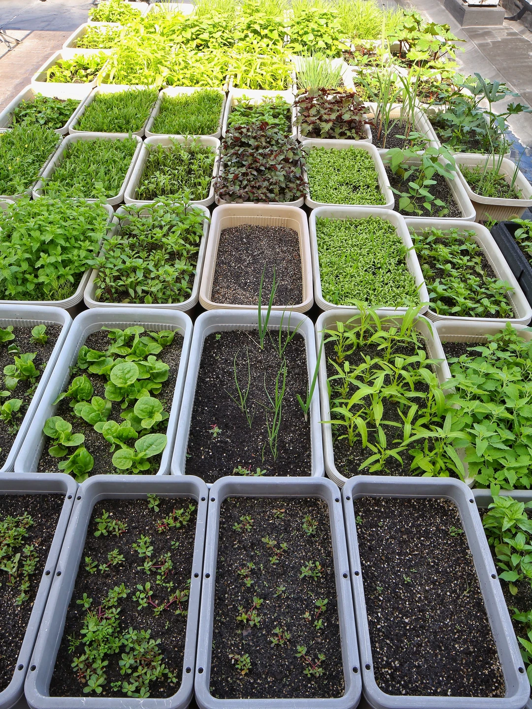 春天辛勤的播种，终于迎来收获满满的采收！