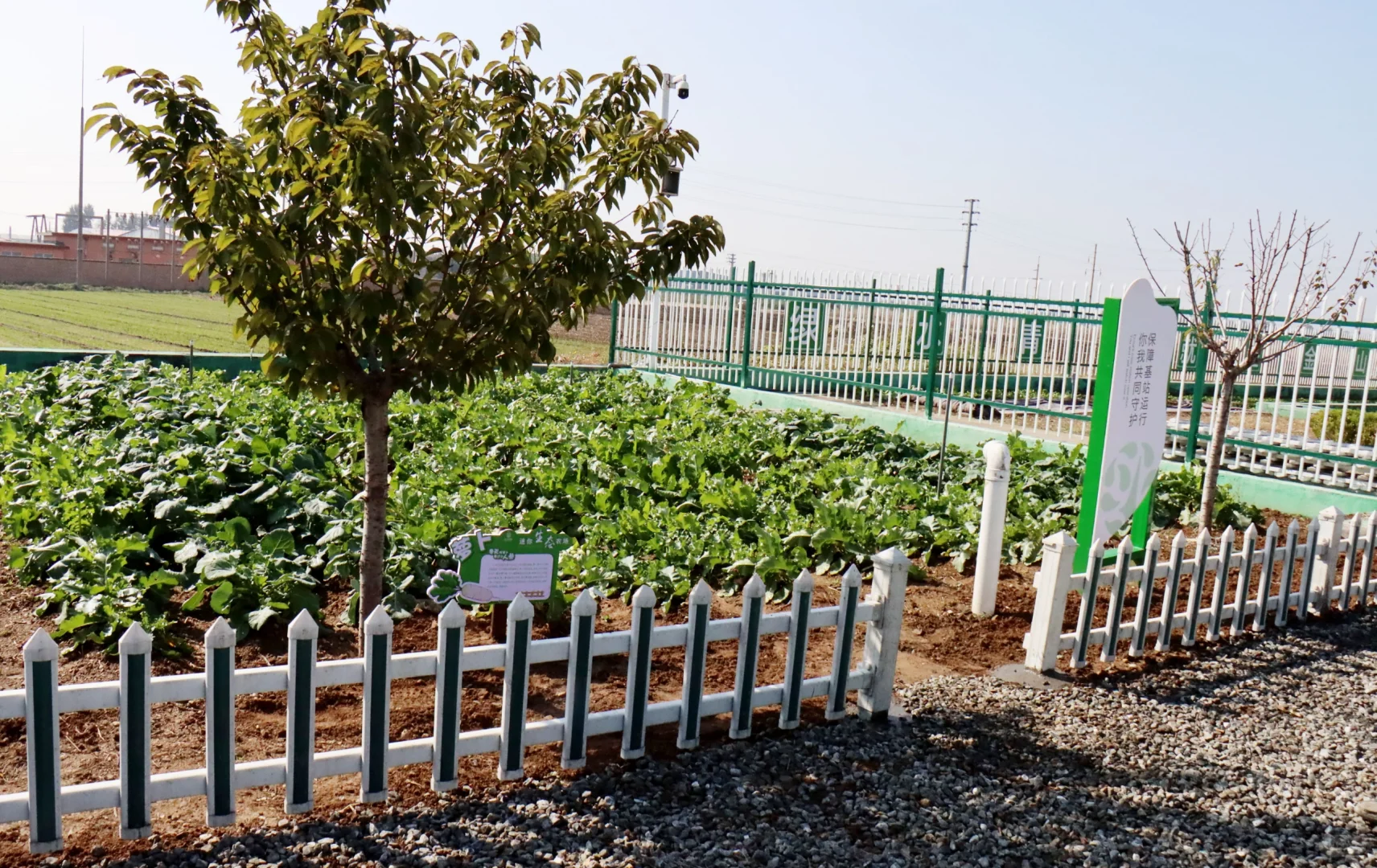 农村生活污水治理资源化利用“最好的方式”