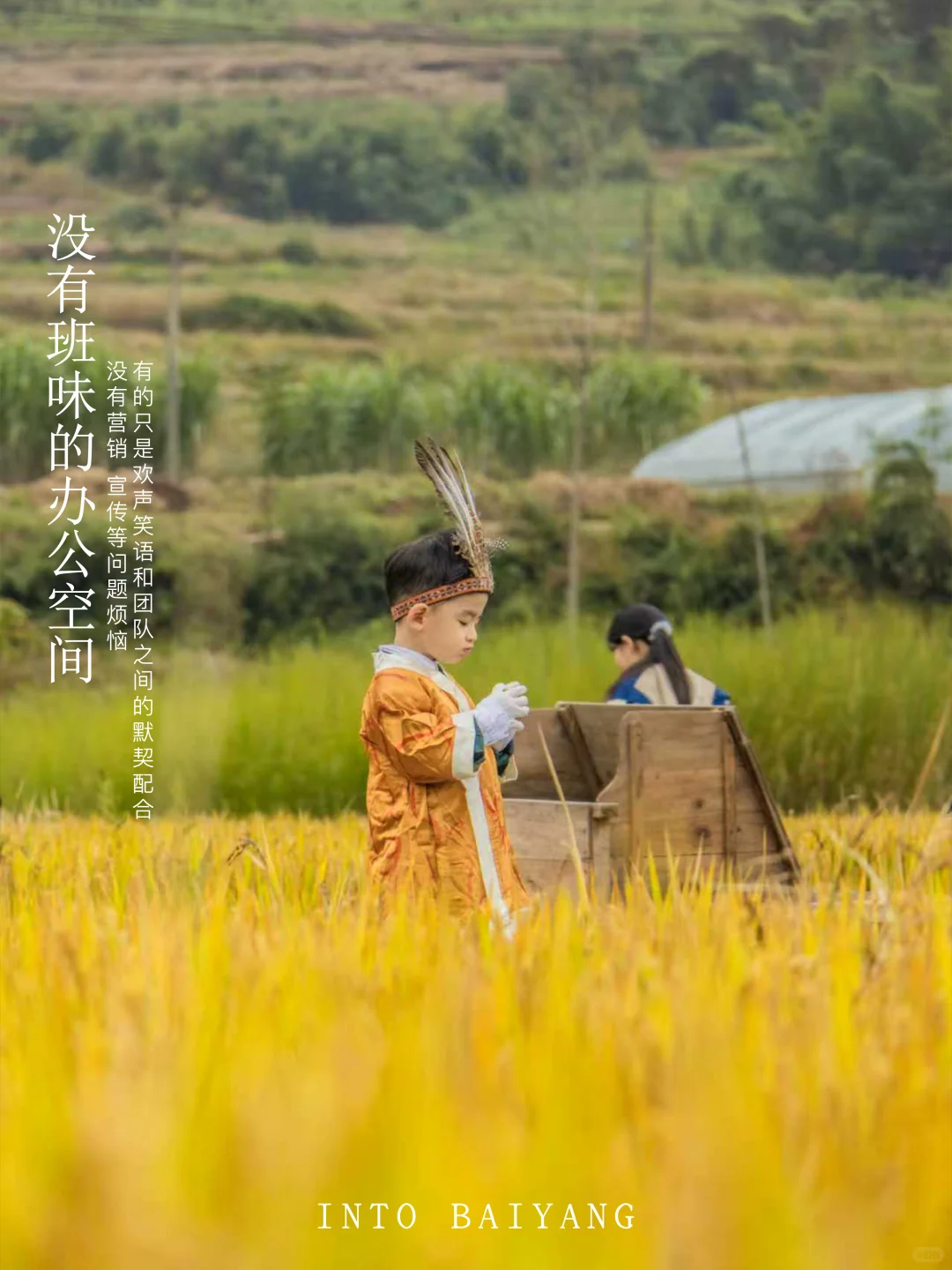 新农人招募令 | 1000亩农田净土在等你