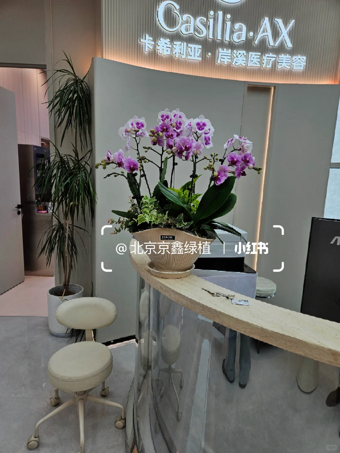 ?北京绿植租赁，绿植造景，绿植租摆