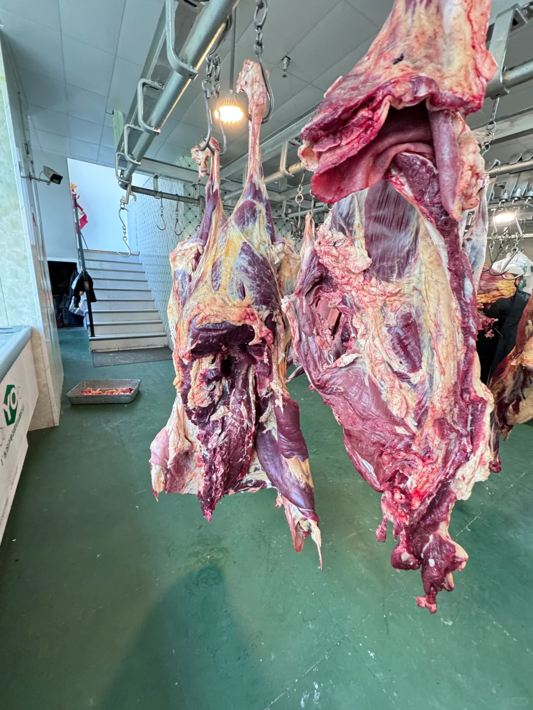 高原牦牛肉,来自川藏高原的馈赠