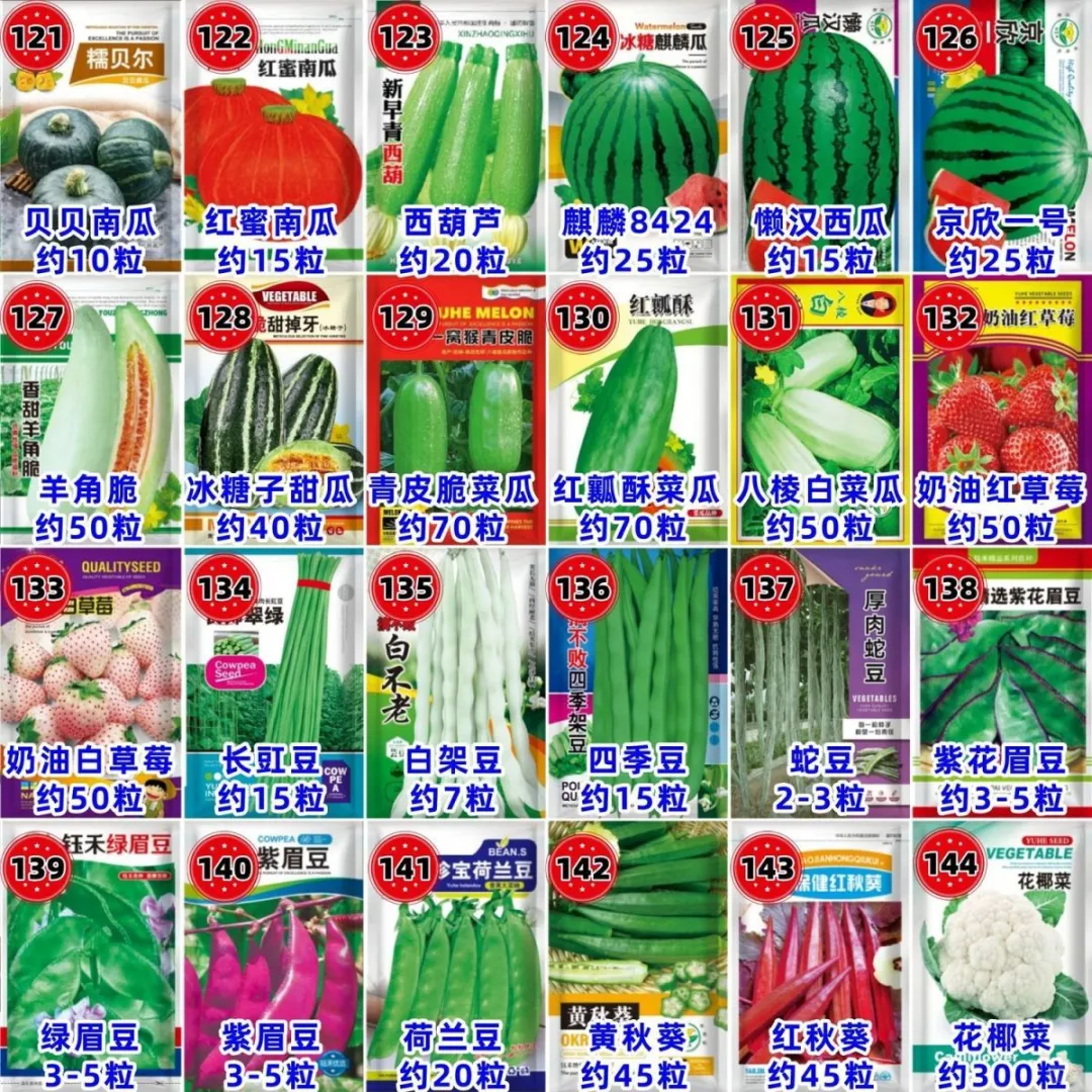 原来种子也有这么多呢