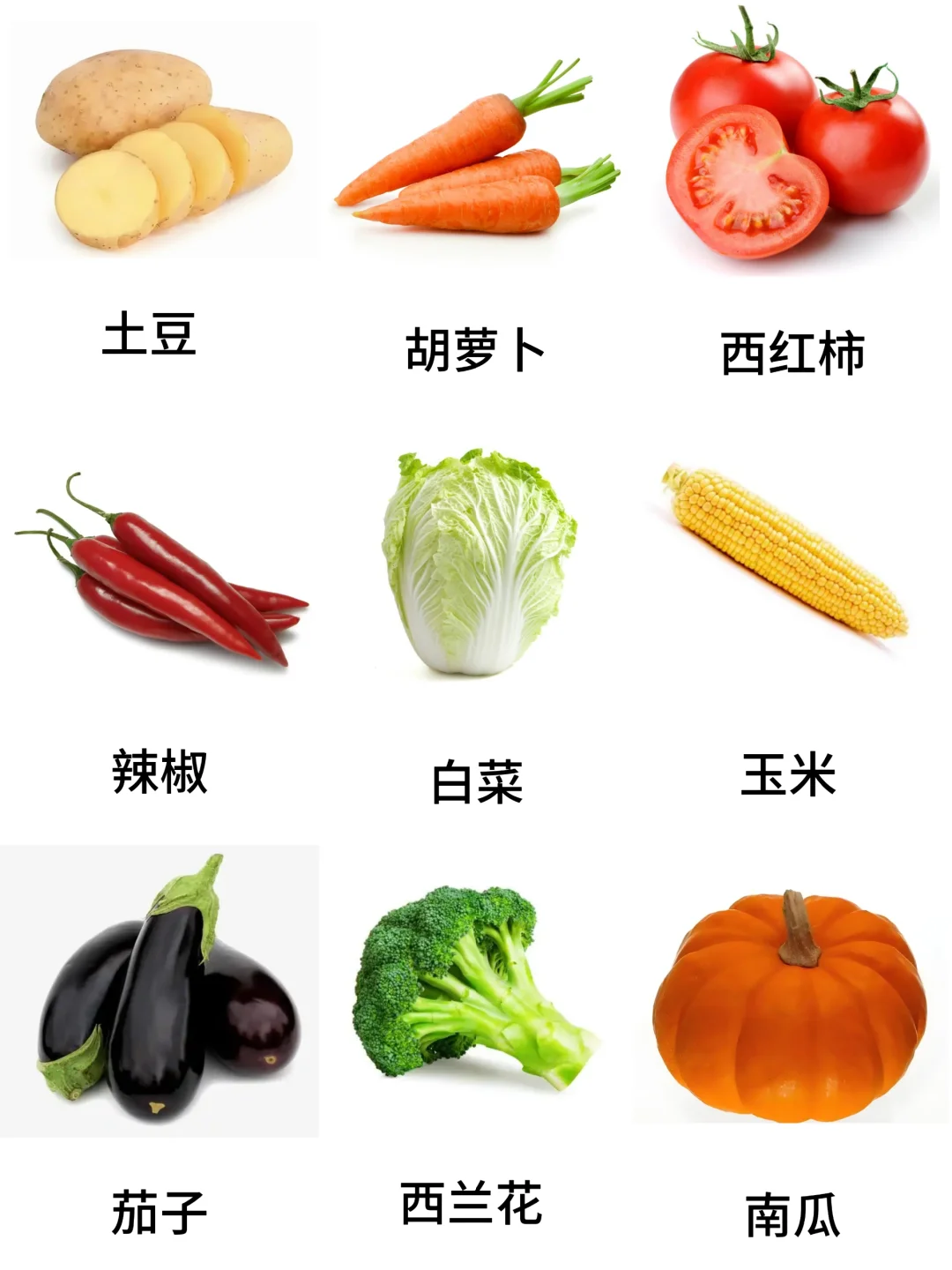 基础认知-蔬菜篇