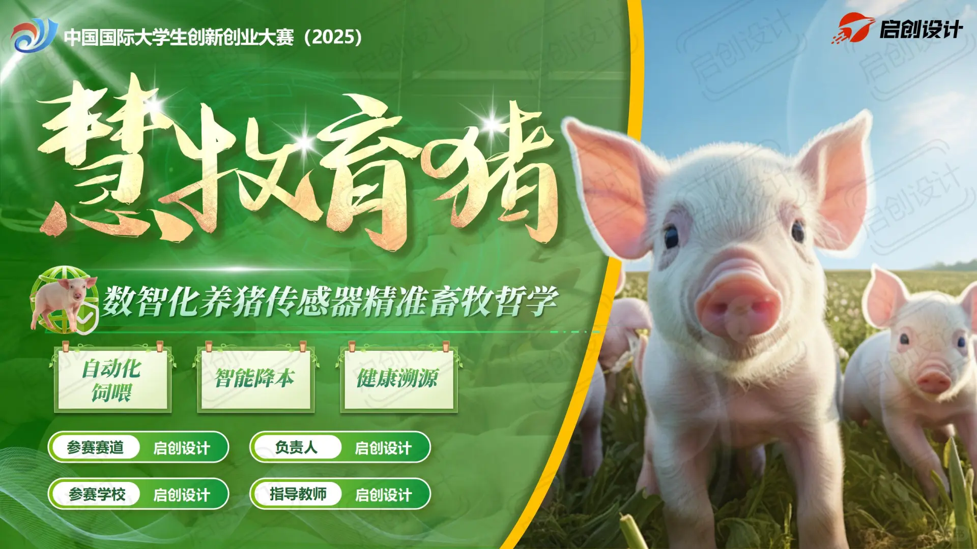 【慧牧育猪】绿色科技养殖畜牧业PPT模板