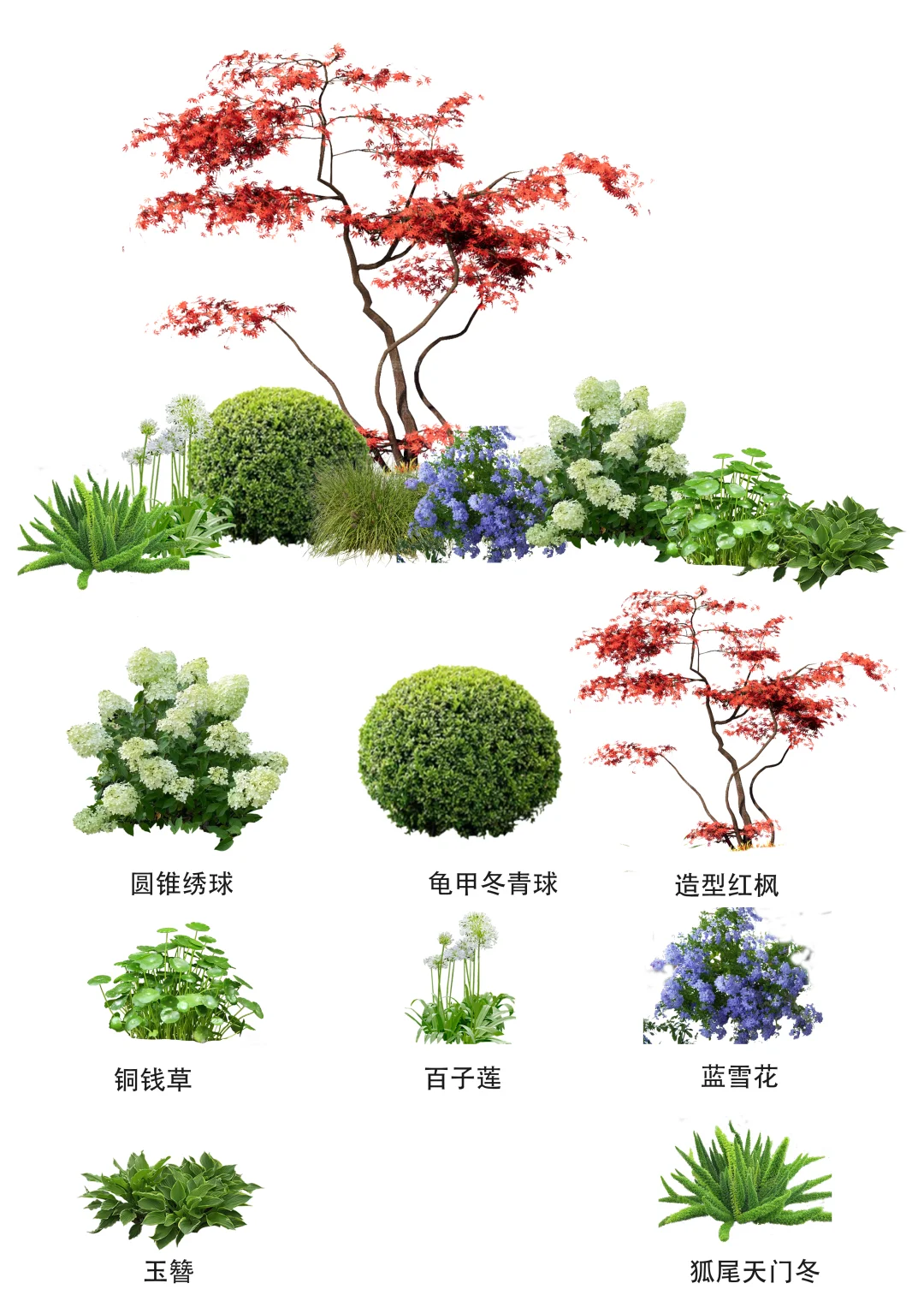 植物配置（70）