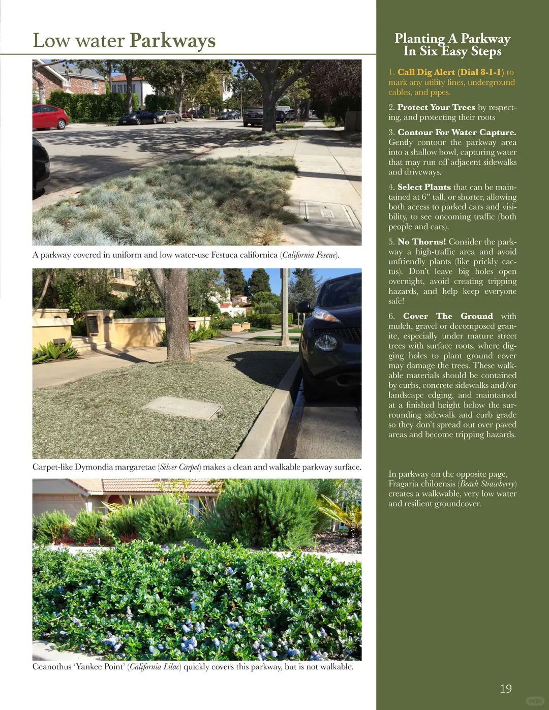 比弗利山节水花园手册??