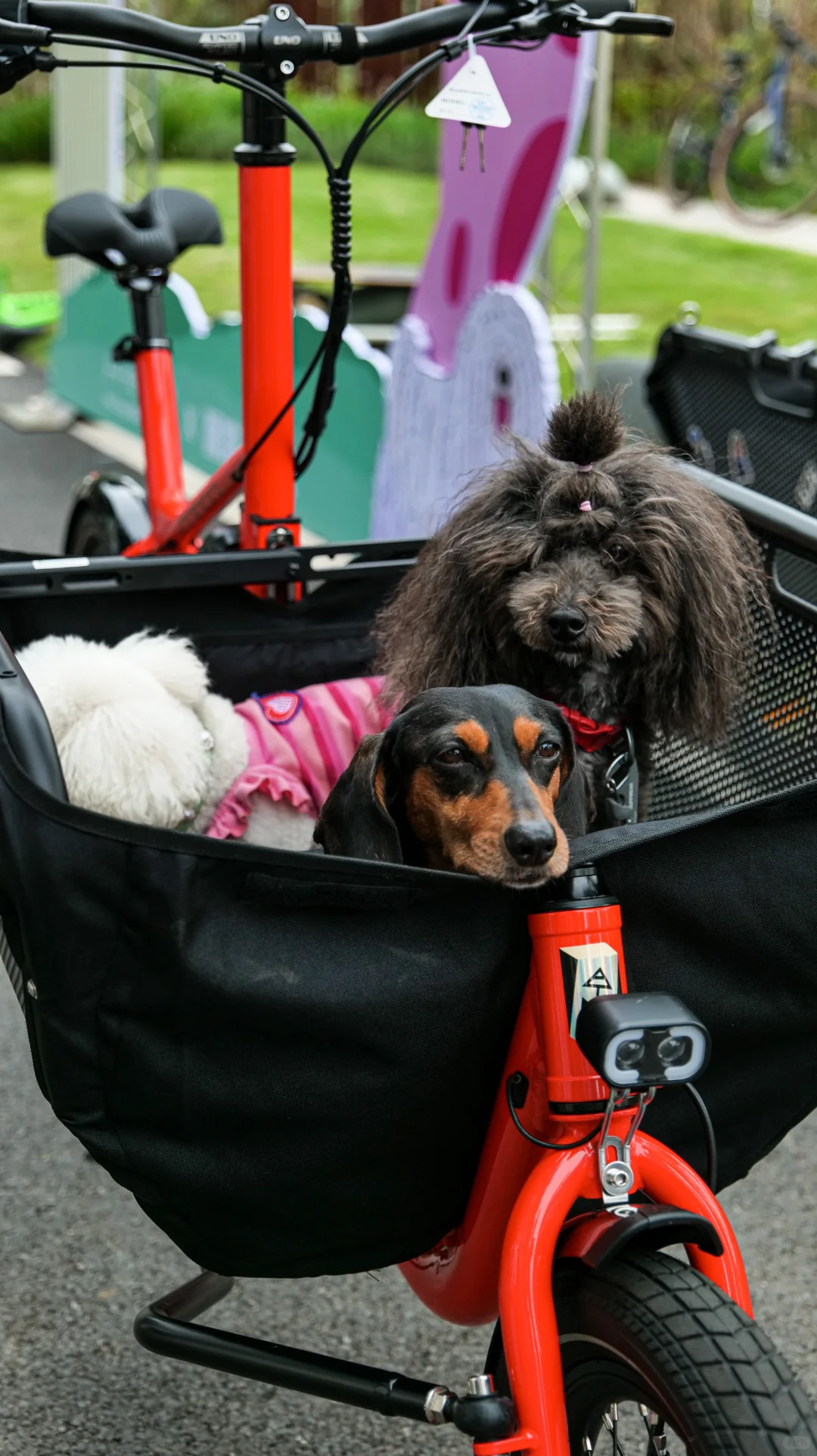 CargoBike-过去 现在 未来
