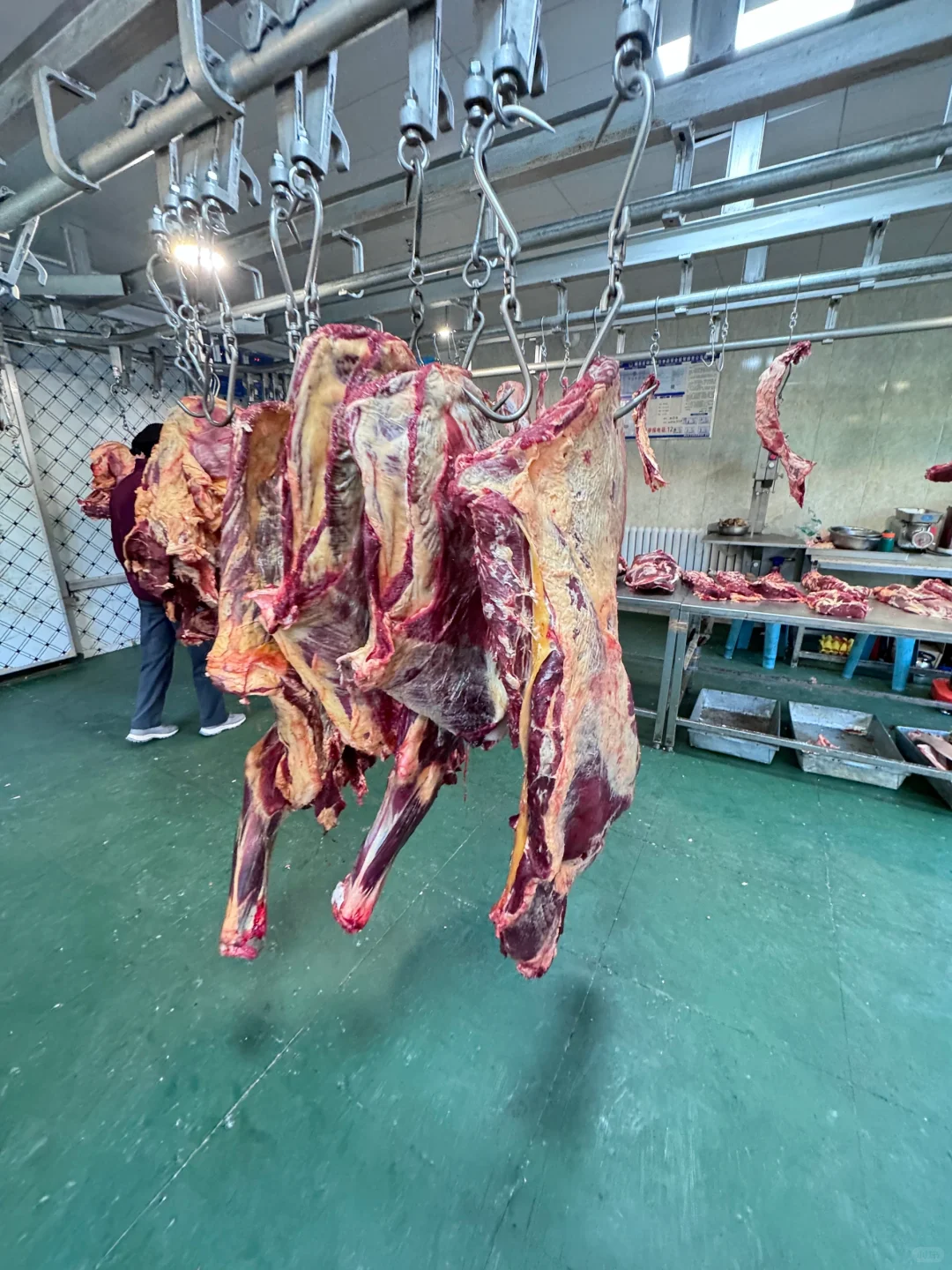 高原牦牛肉,来自川藏高原的馈赠