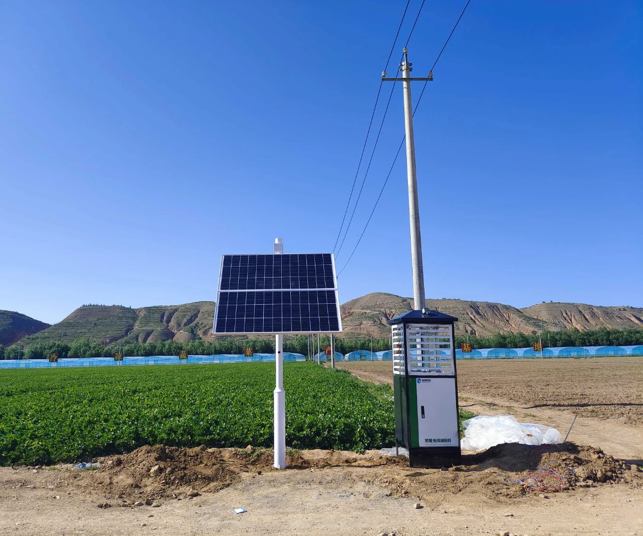 “数字赋能 乡村振兴”全面推进农业现代化