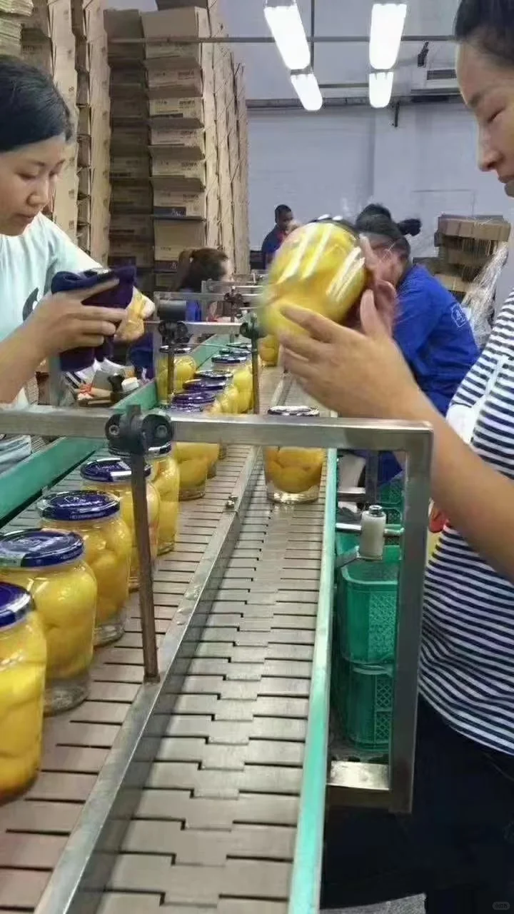 大连真心罐头食品厂招聘