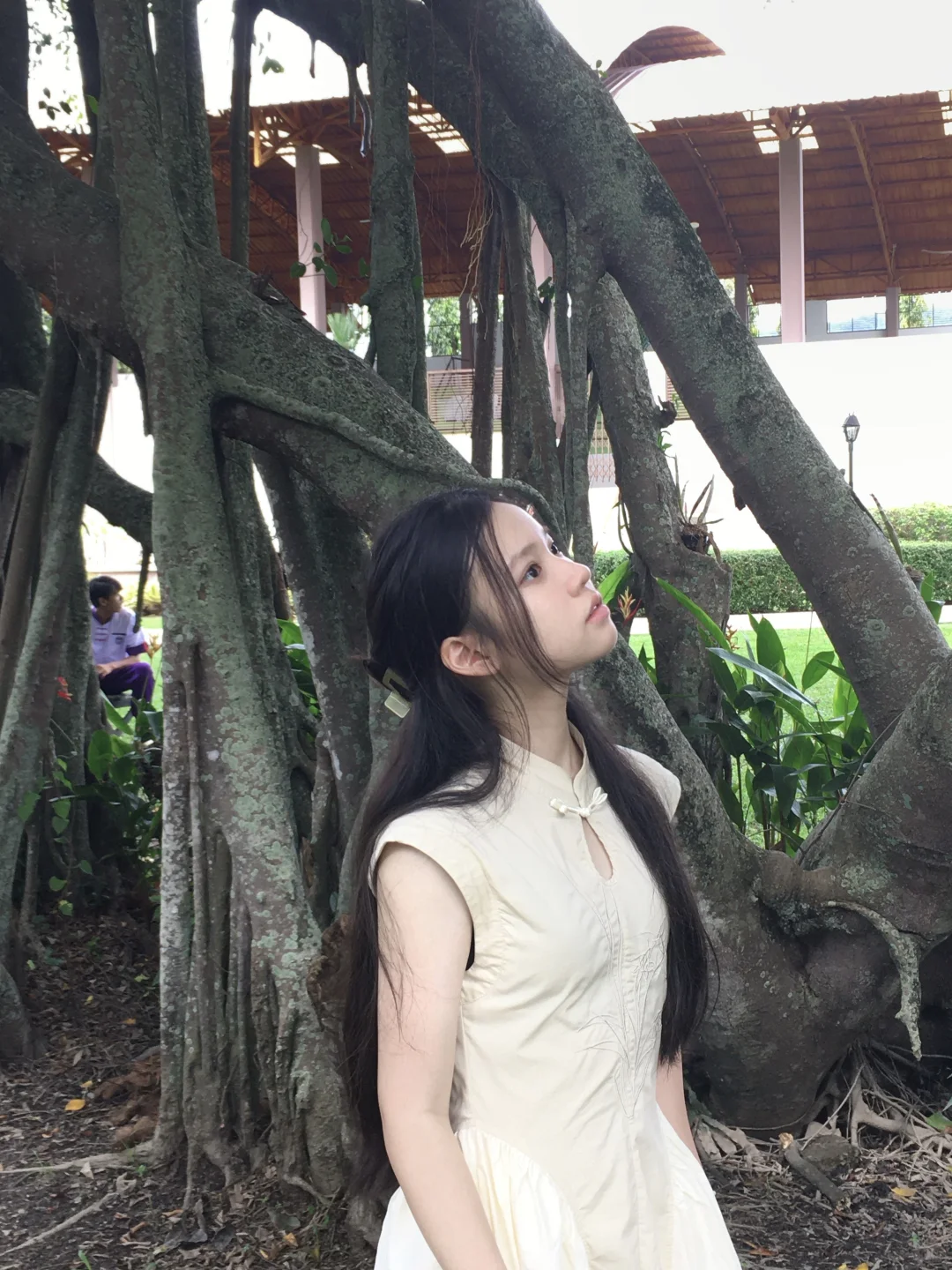 关于中泰交流会