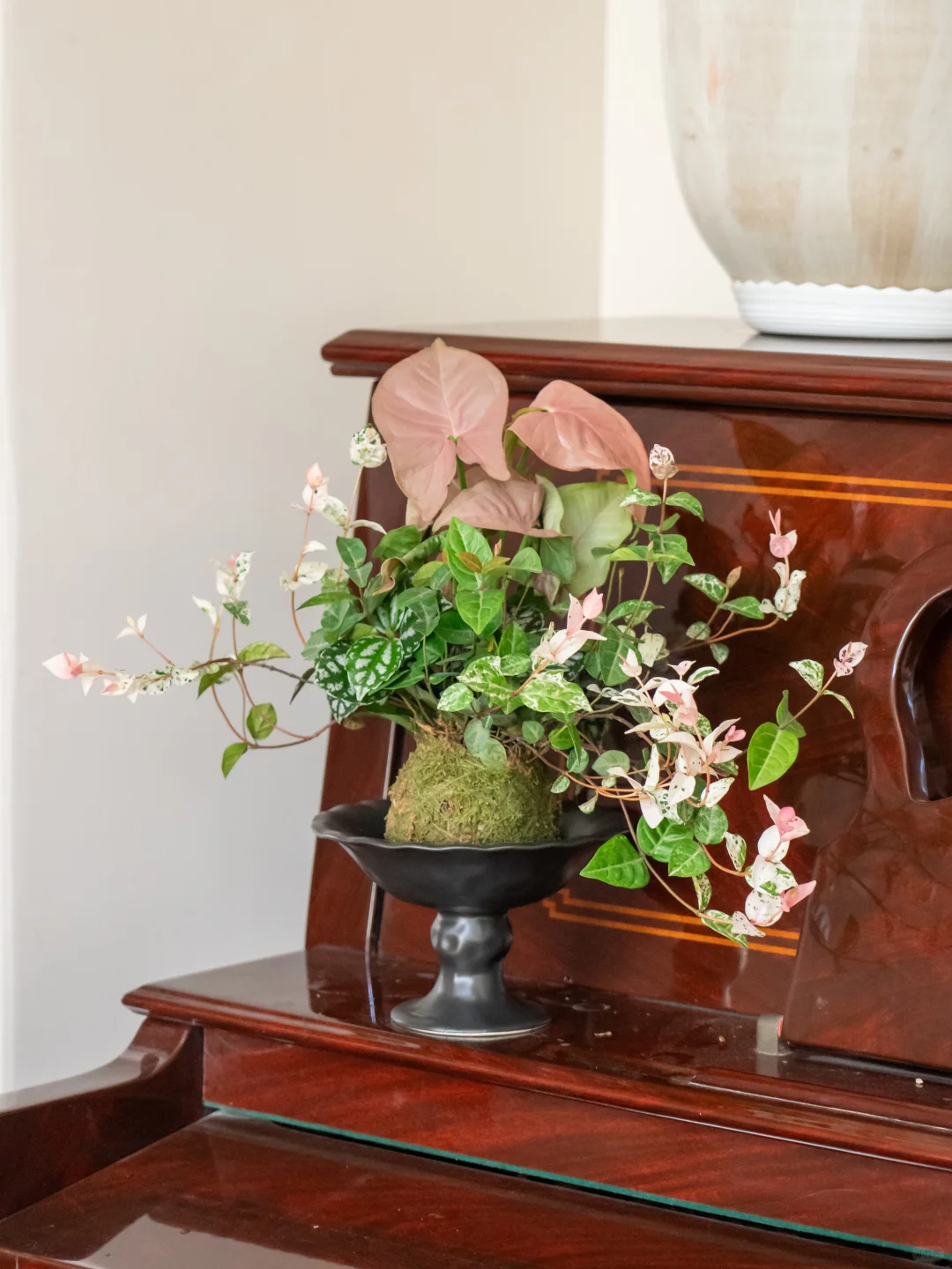 谁家滴“三生有幸”这么美捏？?