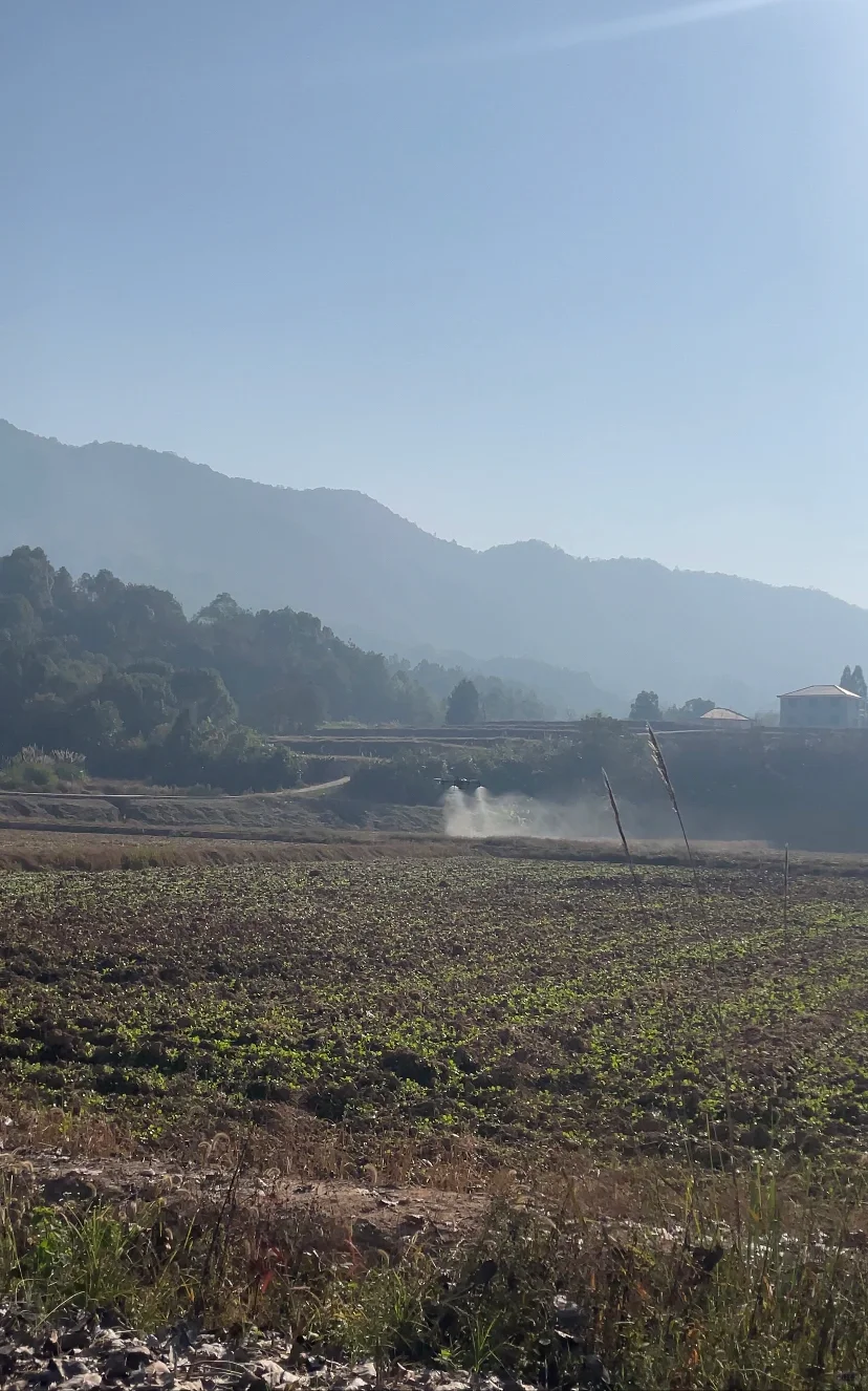 无人机农业植保：现代农业的智慧之选！