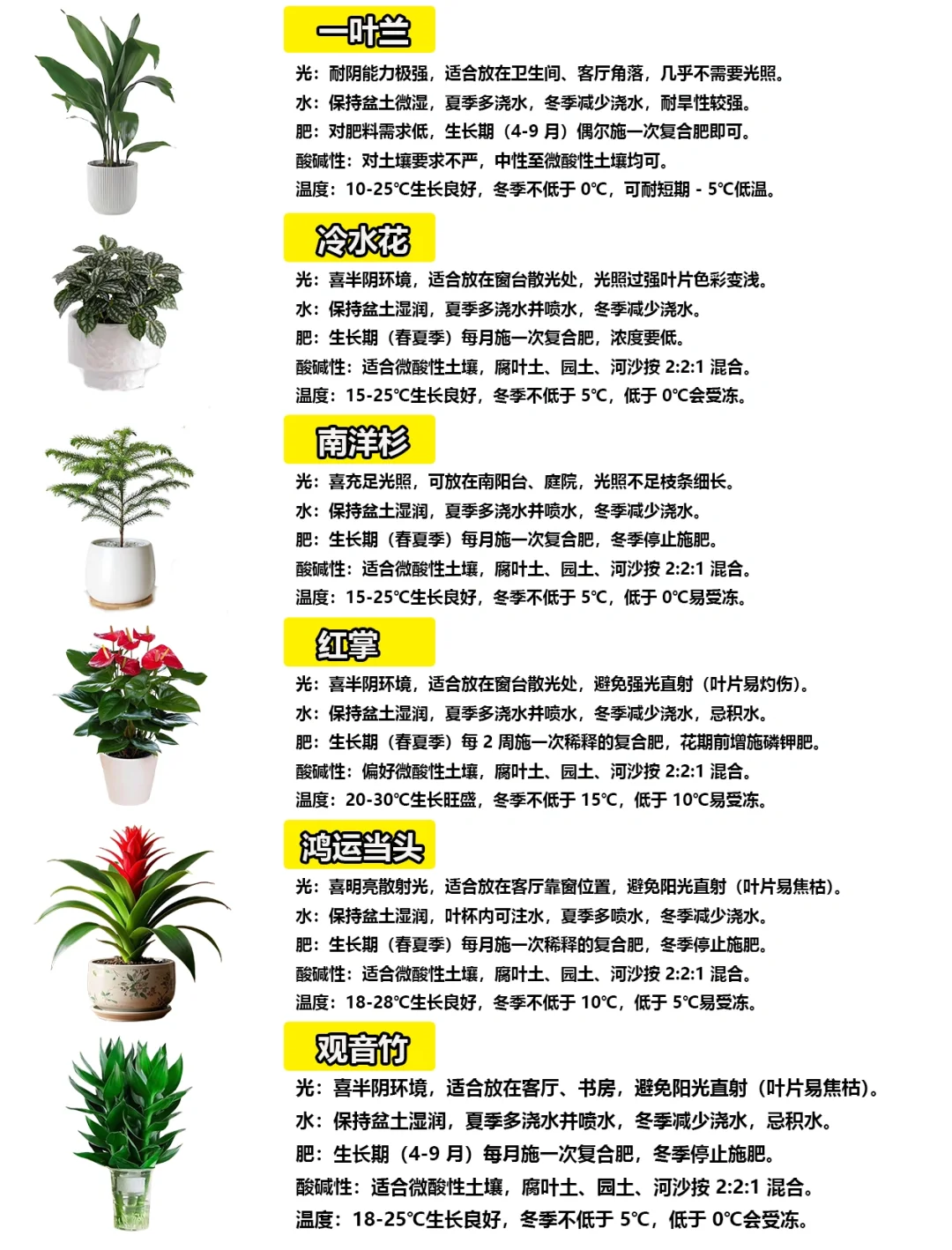 108种绿植花卉养护手册大全