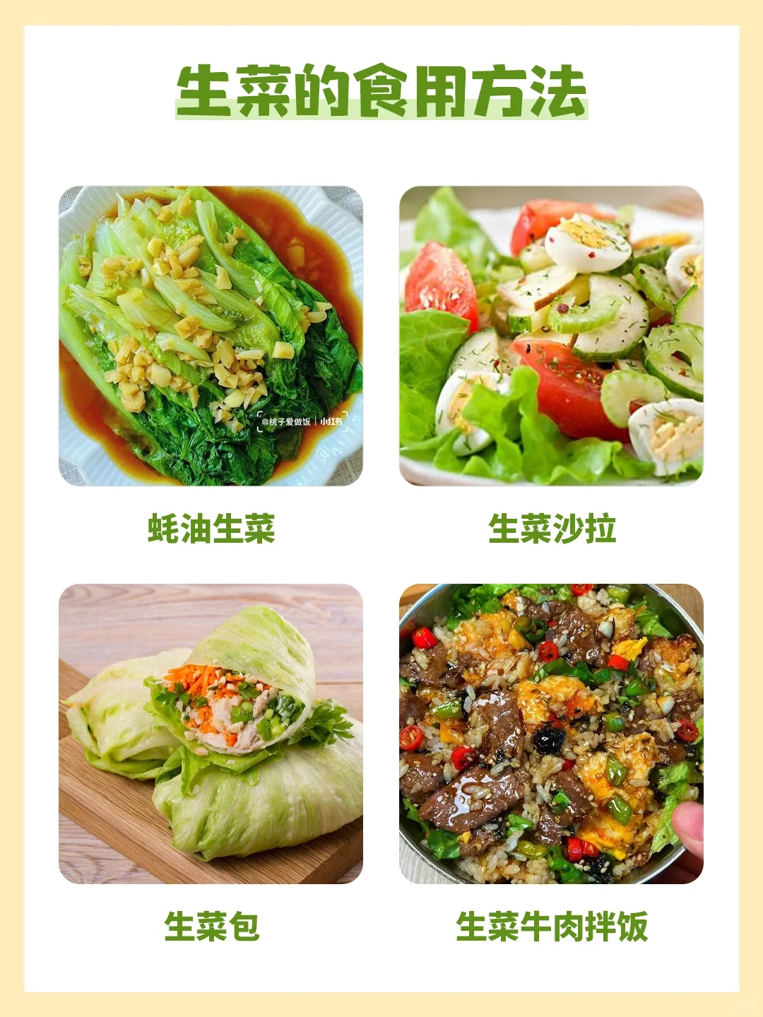 每天认识一种食物79|生菜