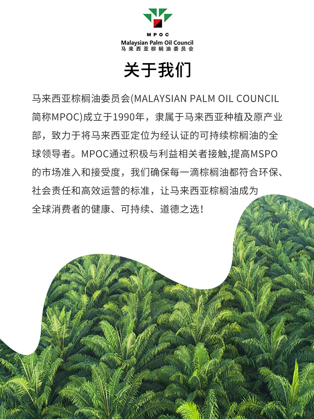 关于马来西亚棕榈油 Malaysian Palm Oil