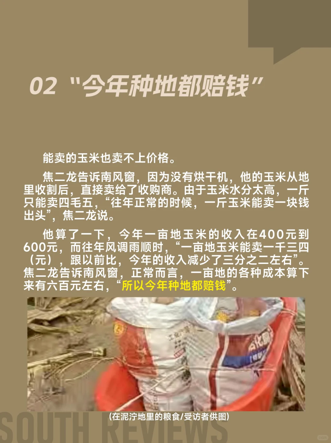 河南农民太苦了,刚经历罕见干旱又遭遇秋涝