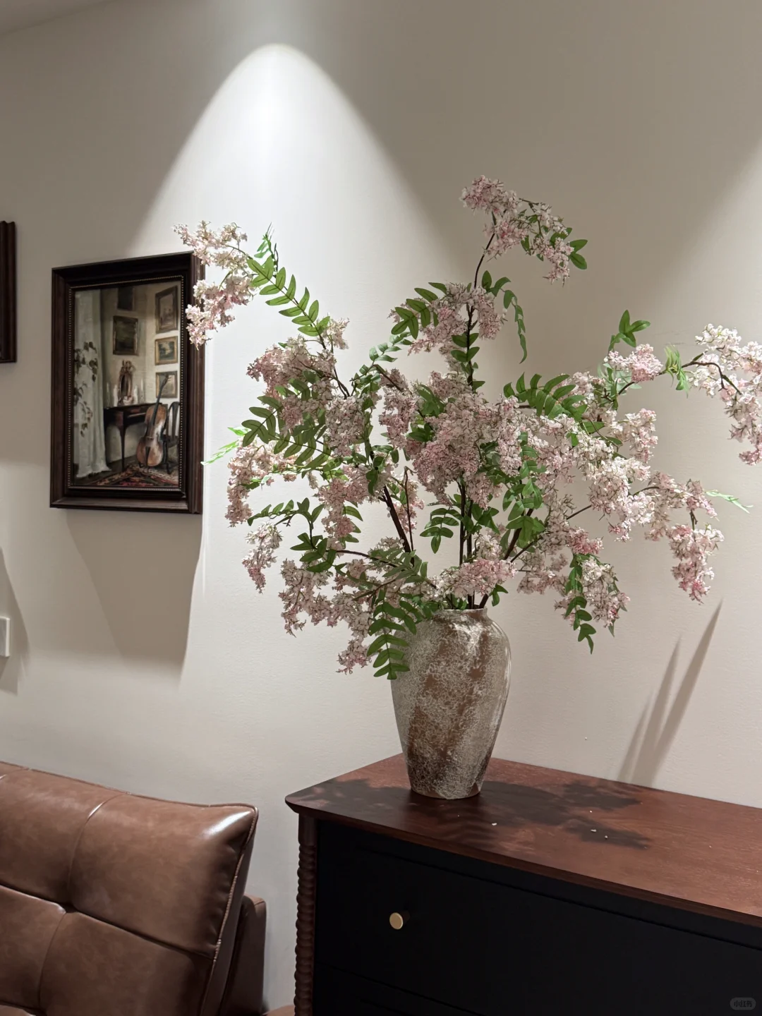 懒人福音?养不死的绿植｜氛围感的神！