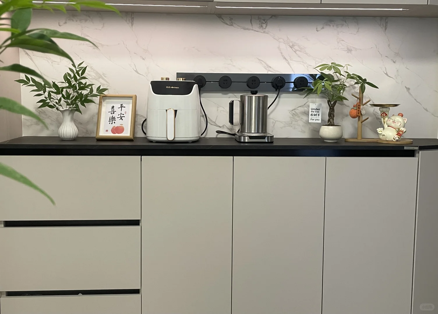 发财树的治愈力谁懂啊！