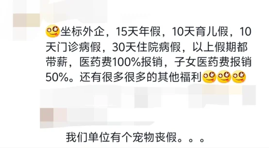 原来留子心目中最值得去的外企是这些…