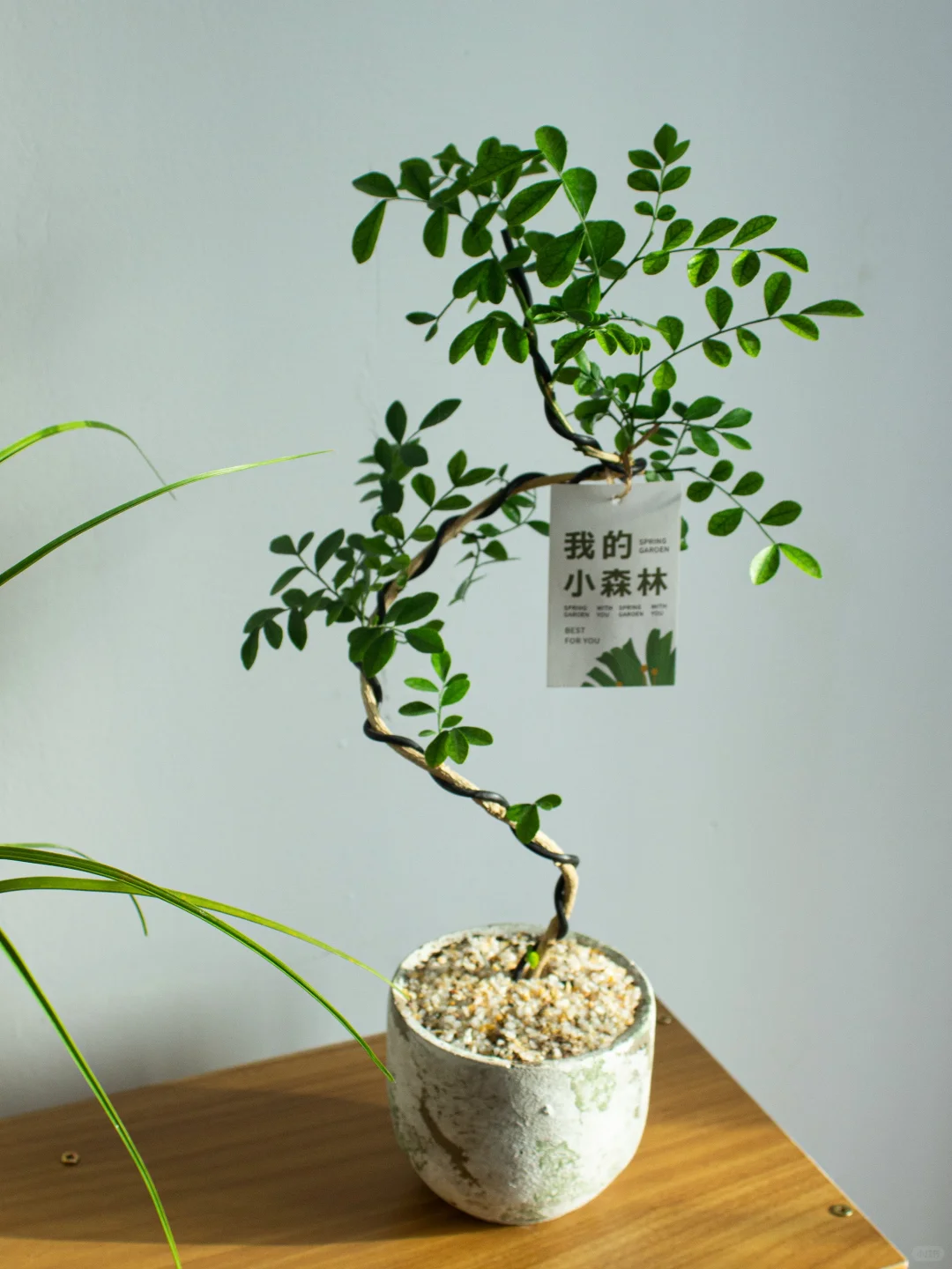 生命真是奇妙又美好的?