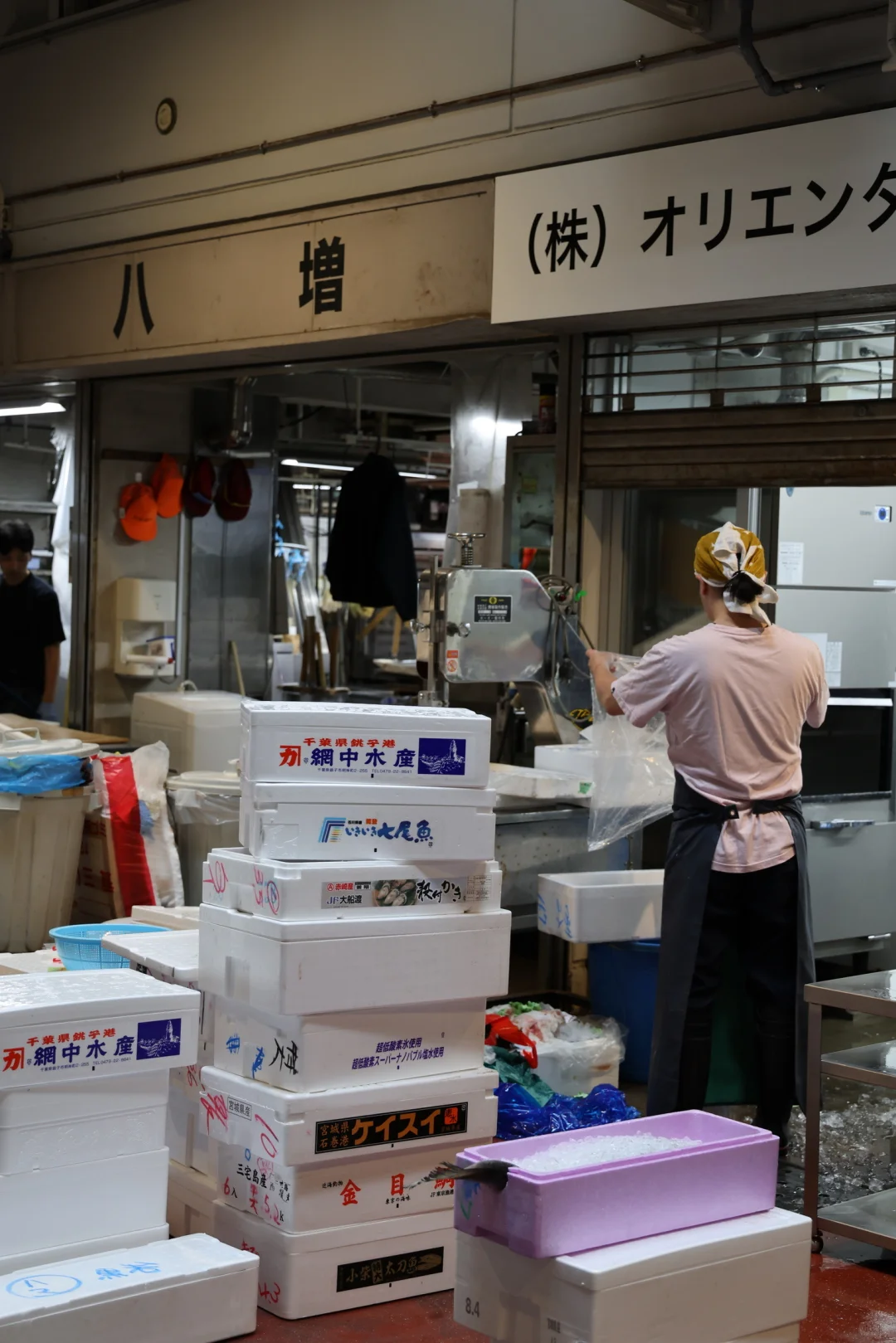 ??横滨 | 飞机一落地直奔早晨的鱼市场