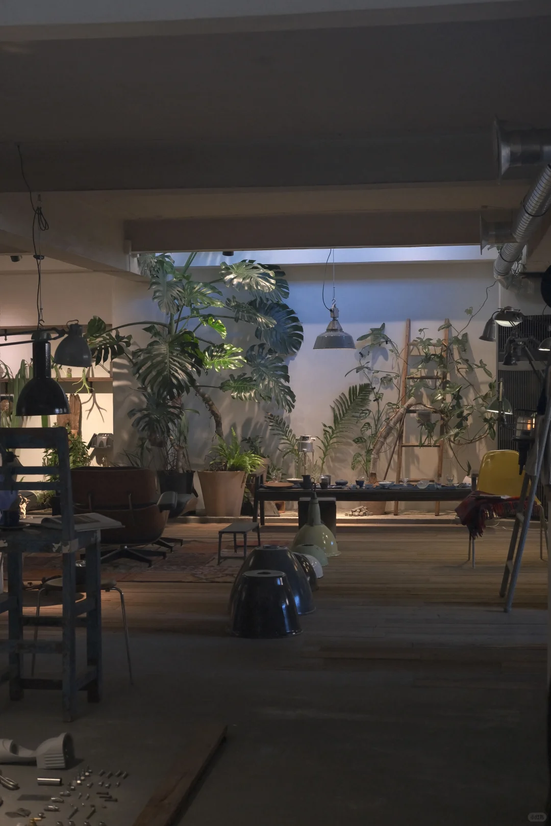 ＊pipo休息日都去哪里了