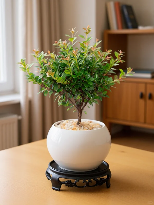 ?小叶赤楠摆哪？3 个神仙位置速码！?