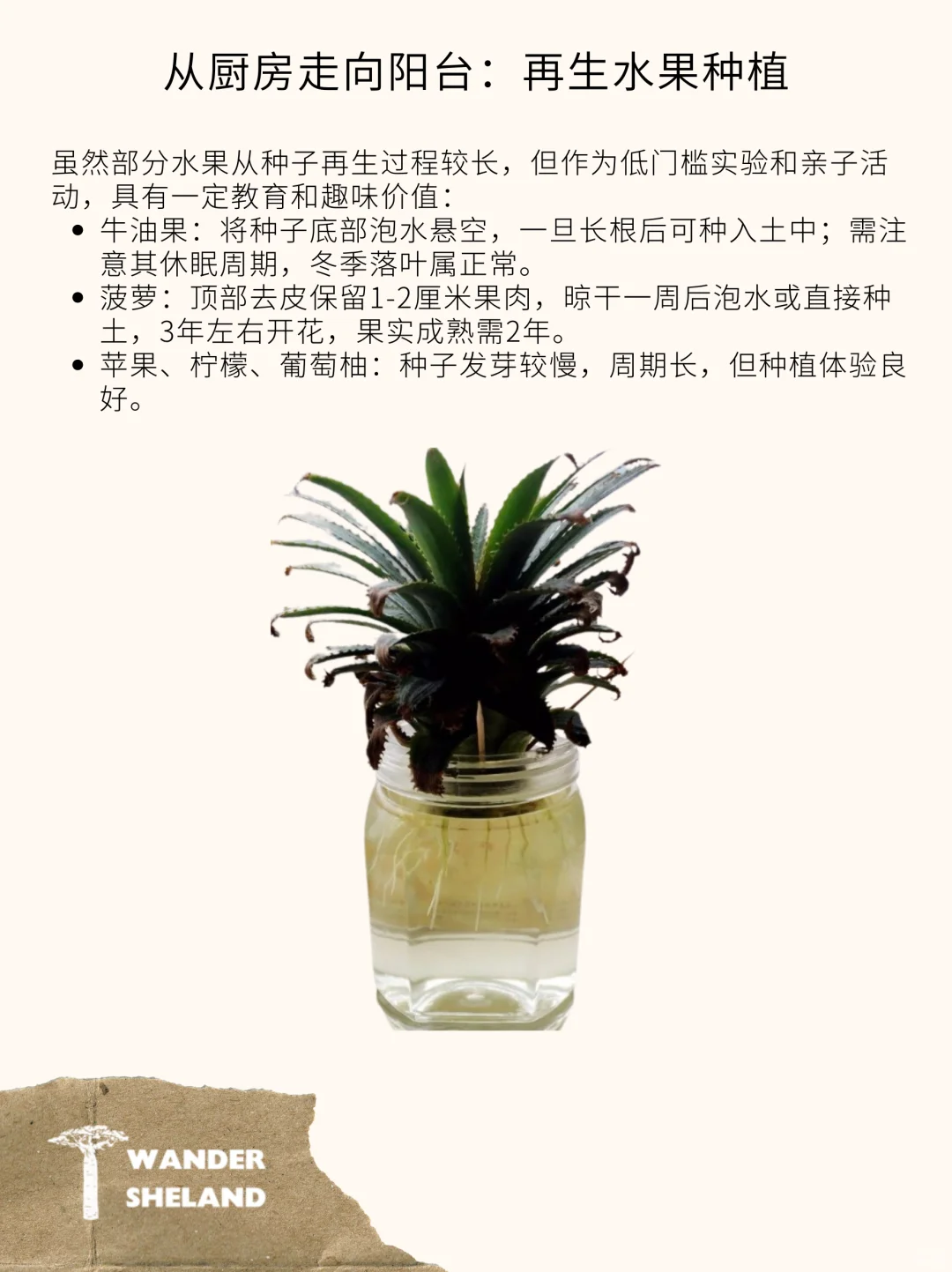 可持续指南｜厨余垃圾再利用 ?