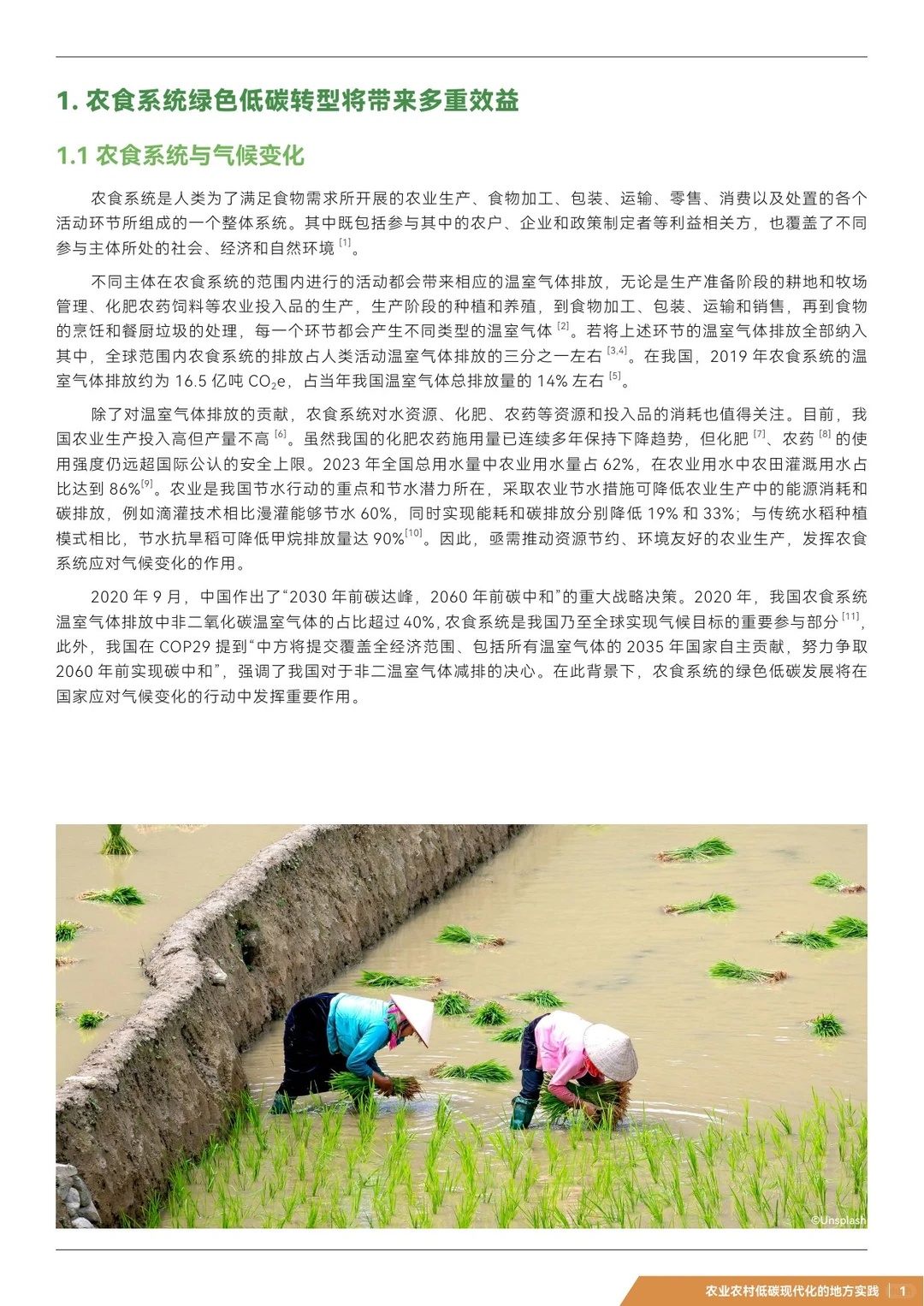 农业绿色低碳转型五大实践亮点盘点