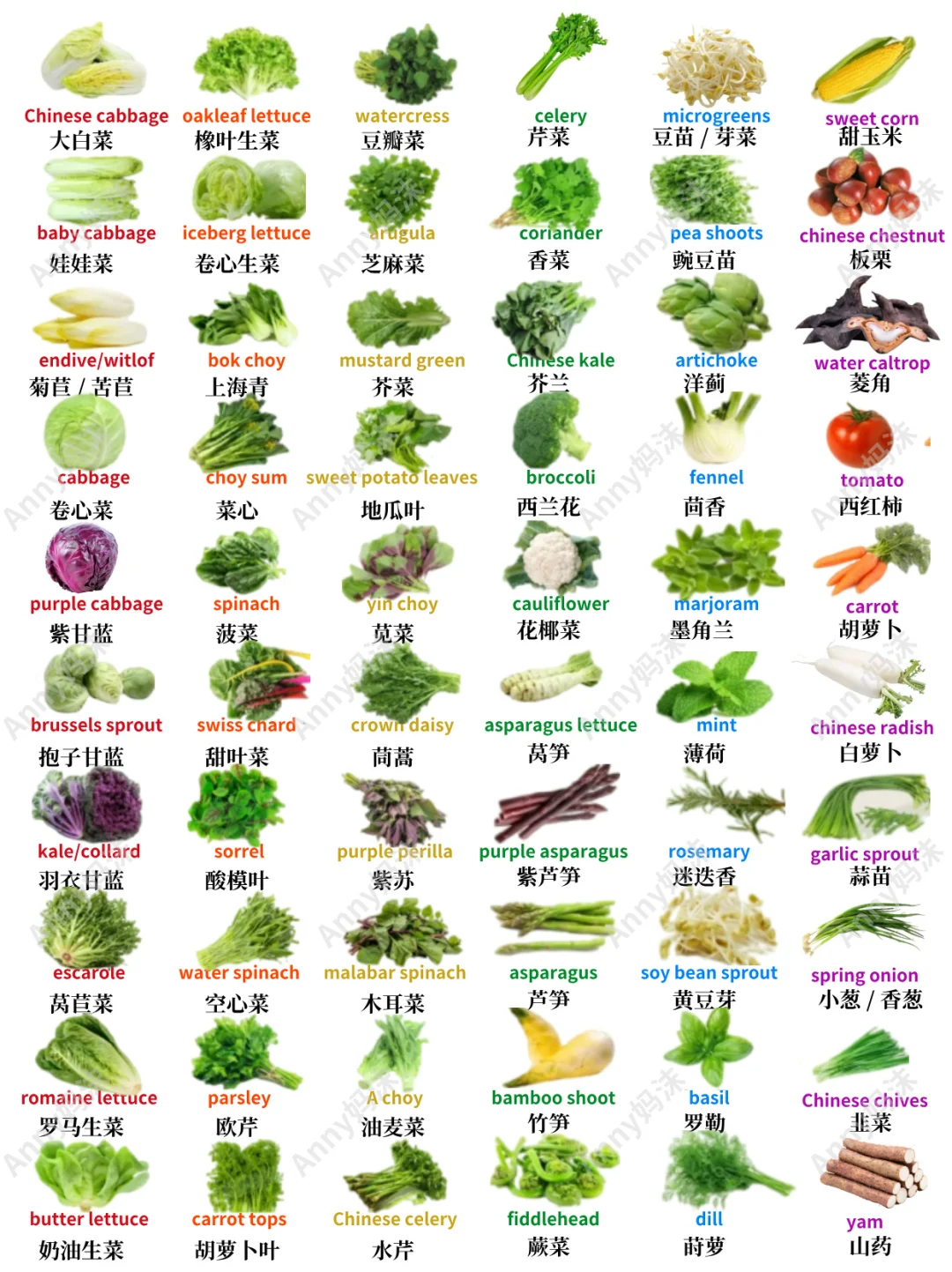 各种蔬菜的英语单词表达集合