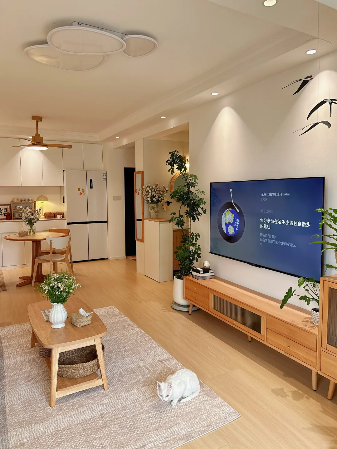 原木风小家入住一年，分享家里的一些植物