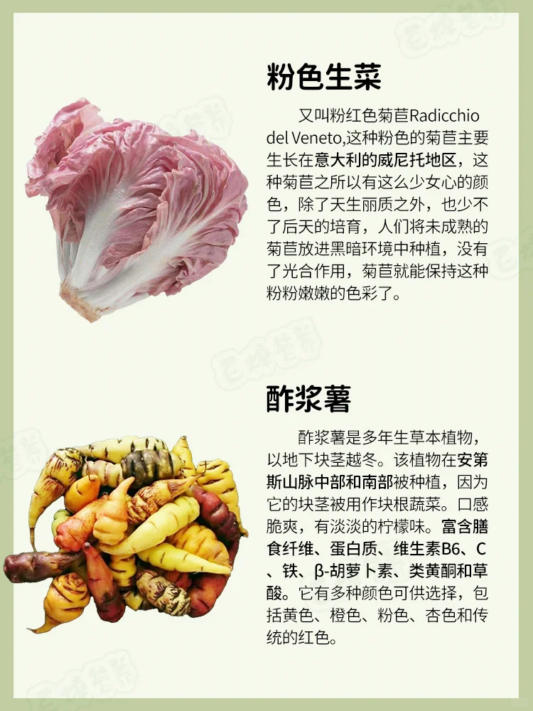 ✨?快来PK，谁能荣登蔬菜王者宝座？✨