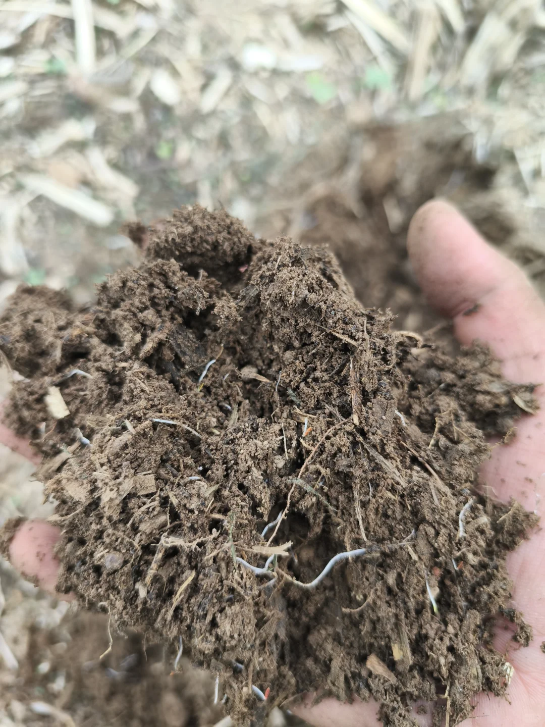 永久的话题——土壤