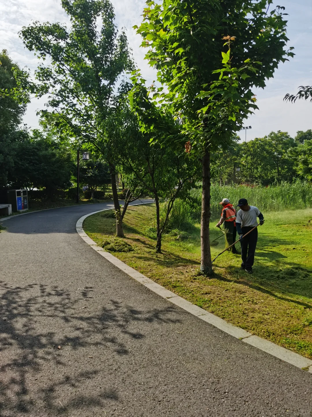 绿化养护施工