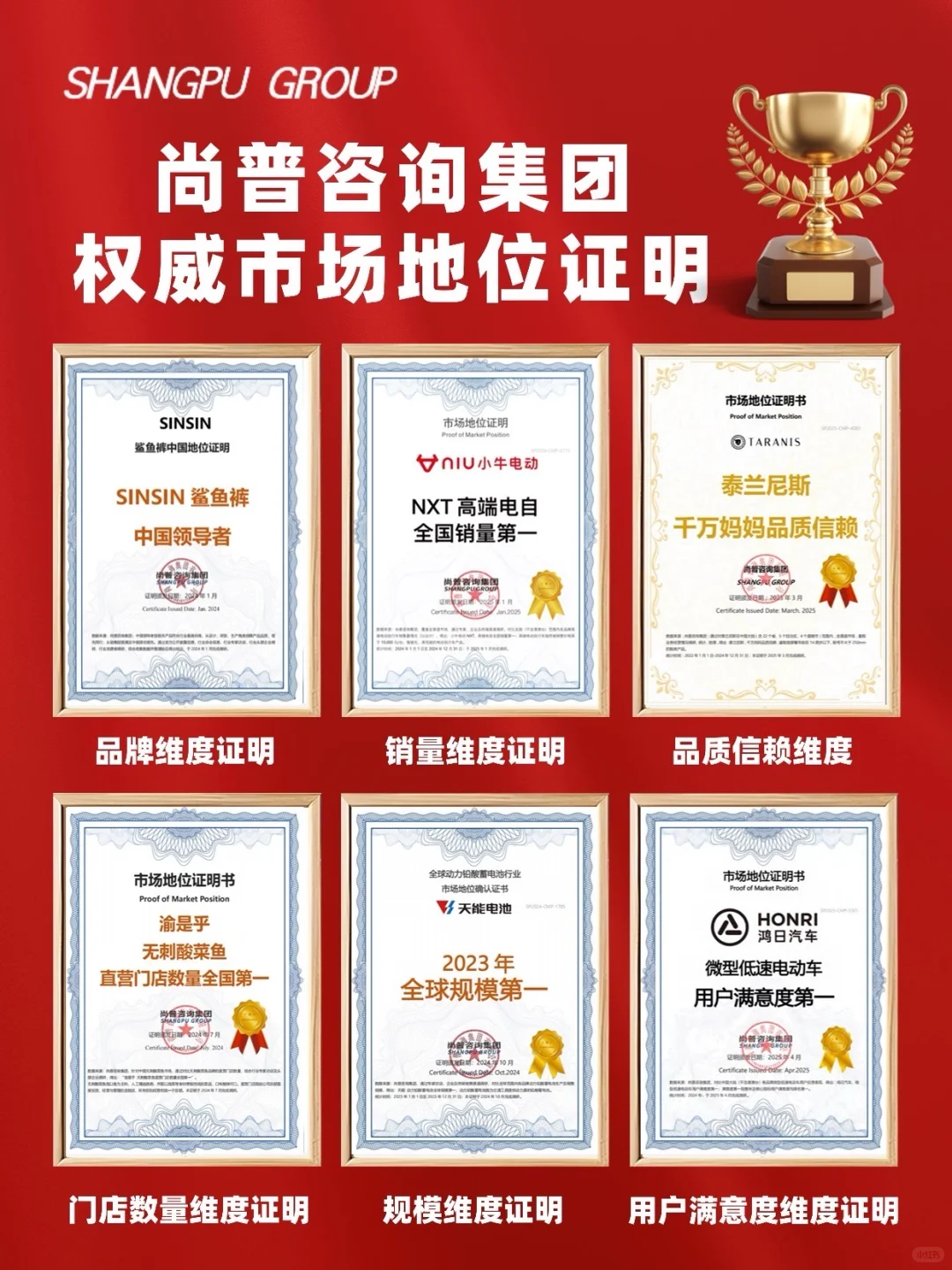 尚普咨询集团权威市场地位证明