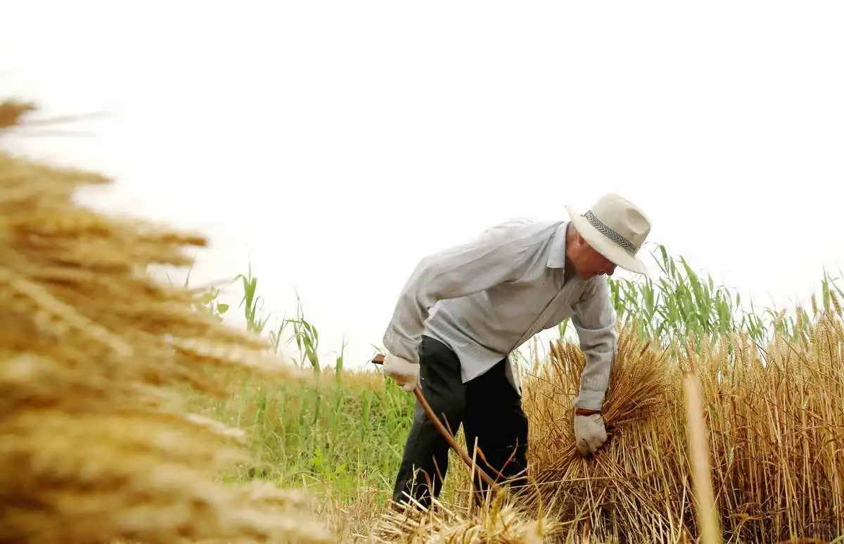 云上认养—传统农业与智慧农业的区别在哪里