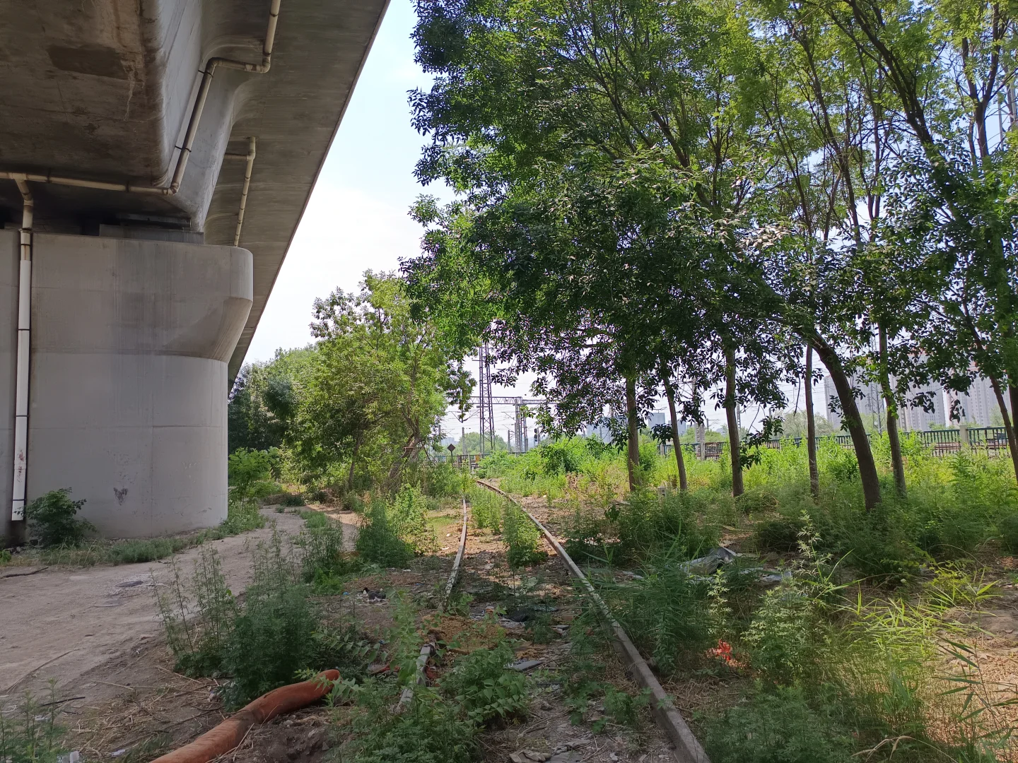 最早生产磷农药的国企是如何把自己逼没的