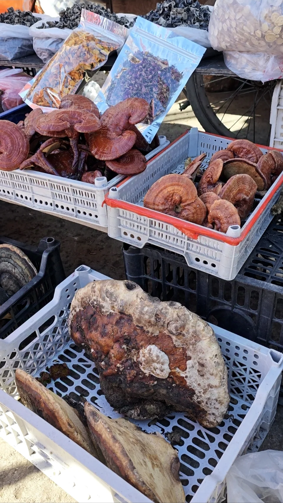 根河早市可以买什么