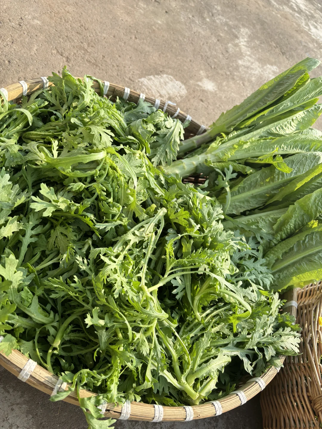 今天给小红书姐妹寄出的露天时令蔬菜拼