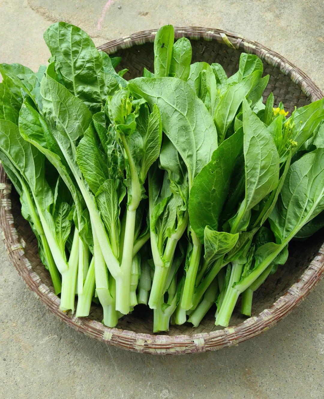 每月150供应一整月的农家应季绿色蔬菜