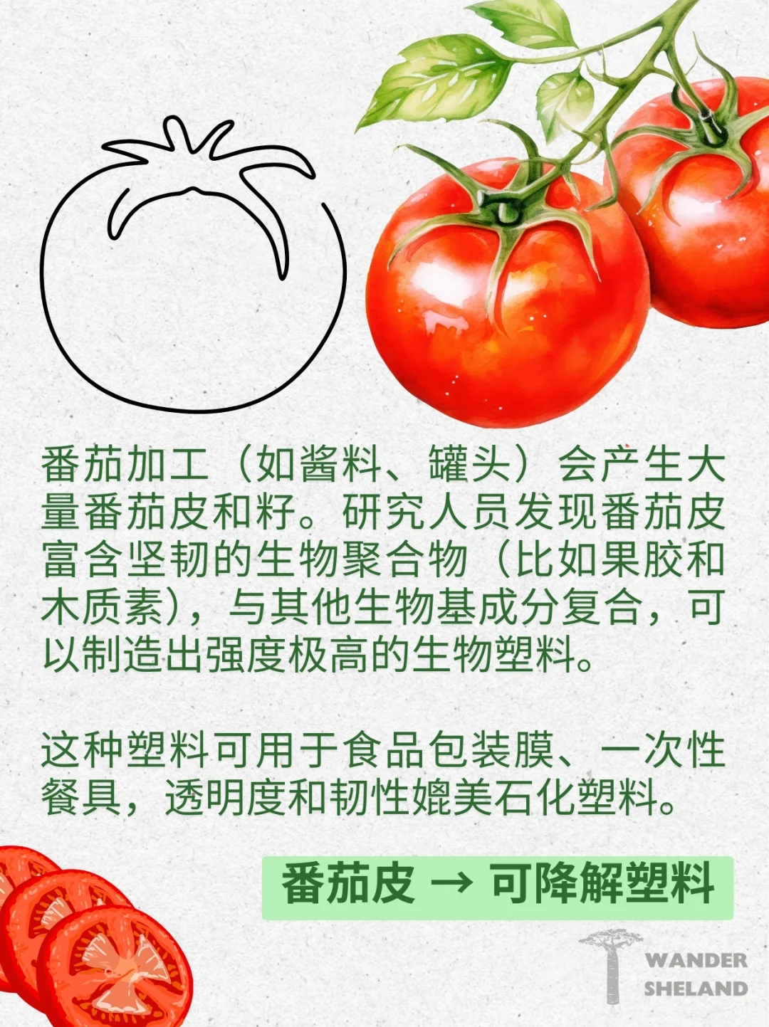 可持续指南｜废弃食材变身新材料 ?