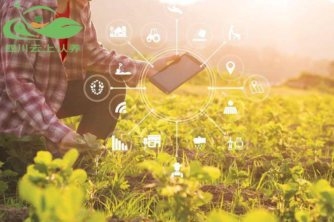 四川云上认养:让农业生产更高效、更智能!