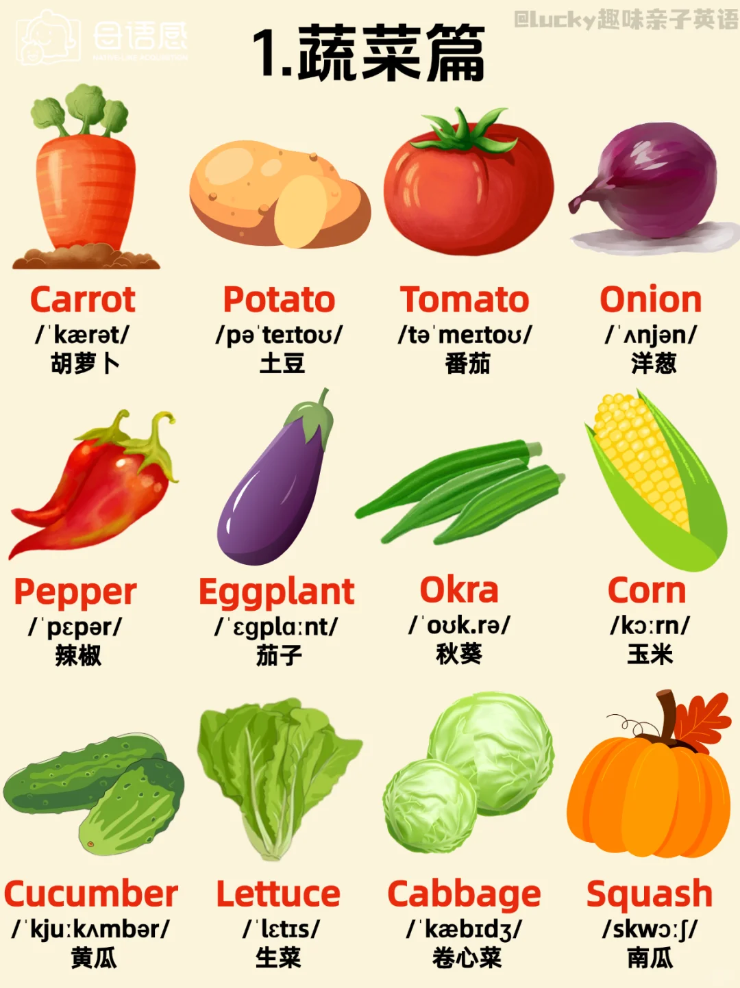 绝了！这英语主题闪卡也太全了吧!!!