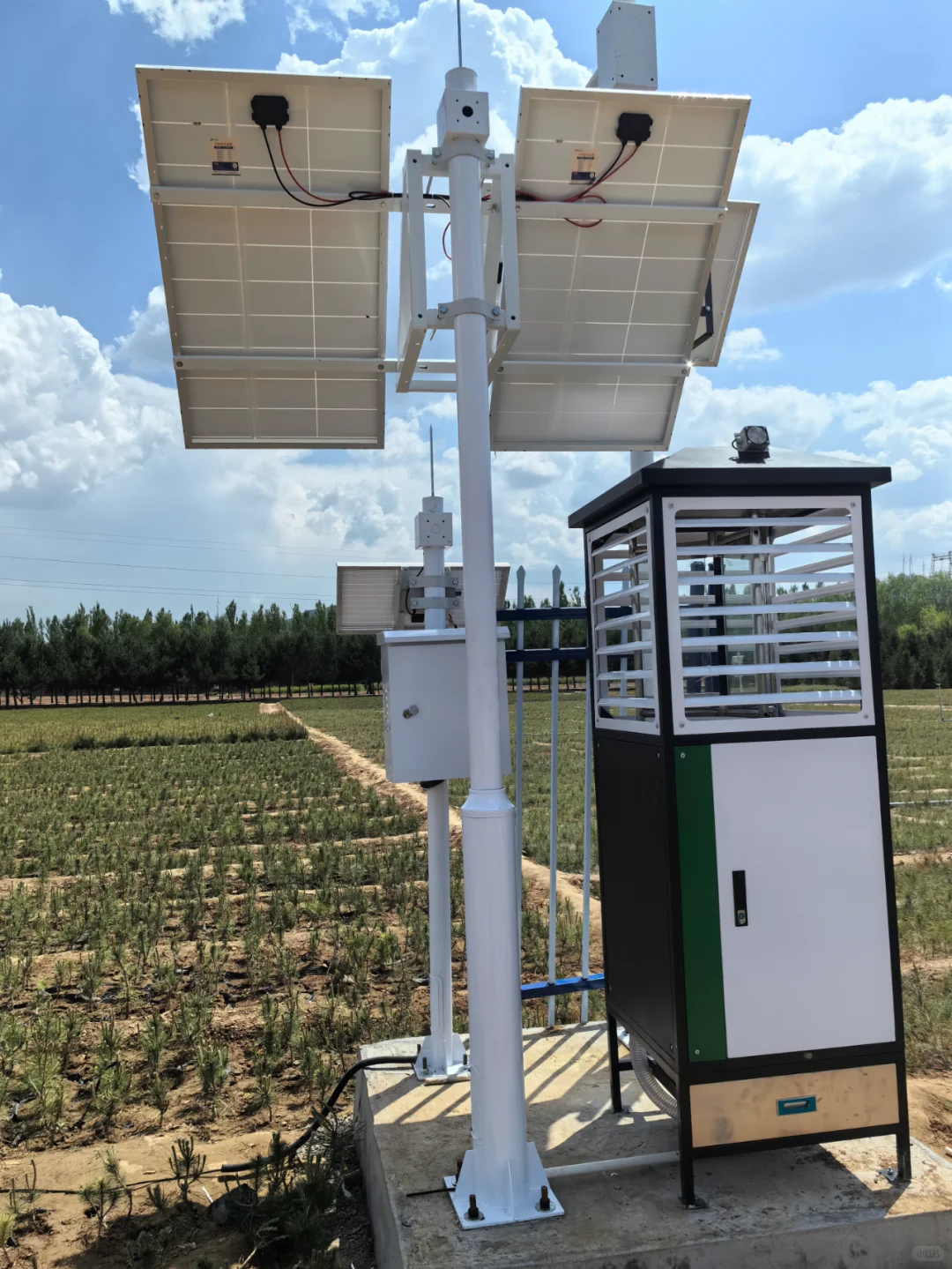 粮食“连年丰”从何而来，智慧农业促发展