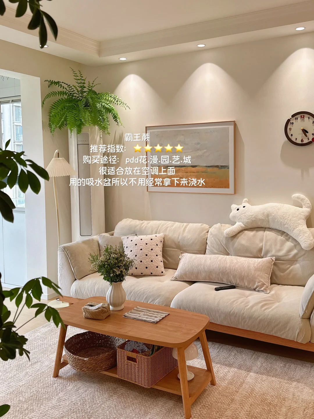 原木风小家入住一年，分享家里的一些植物