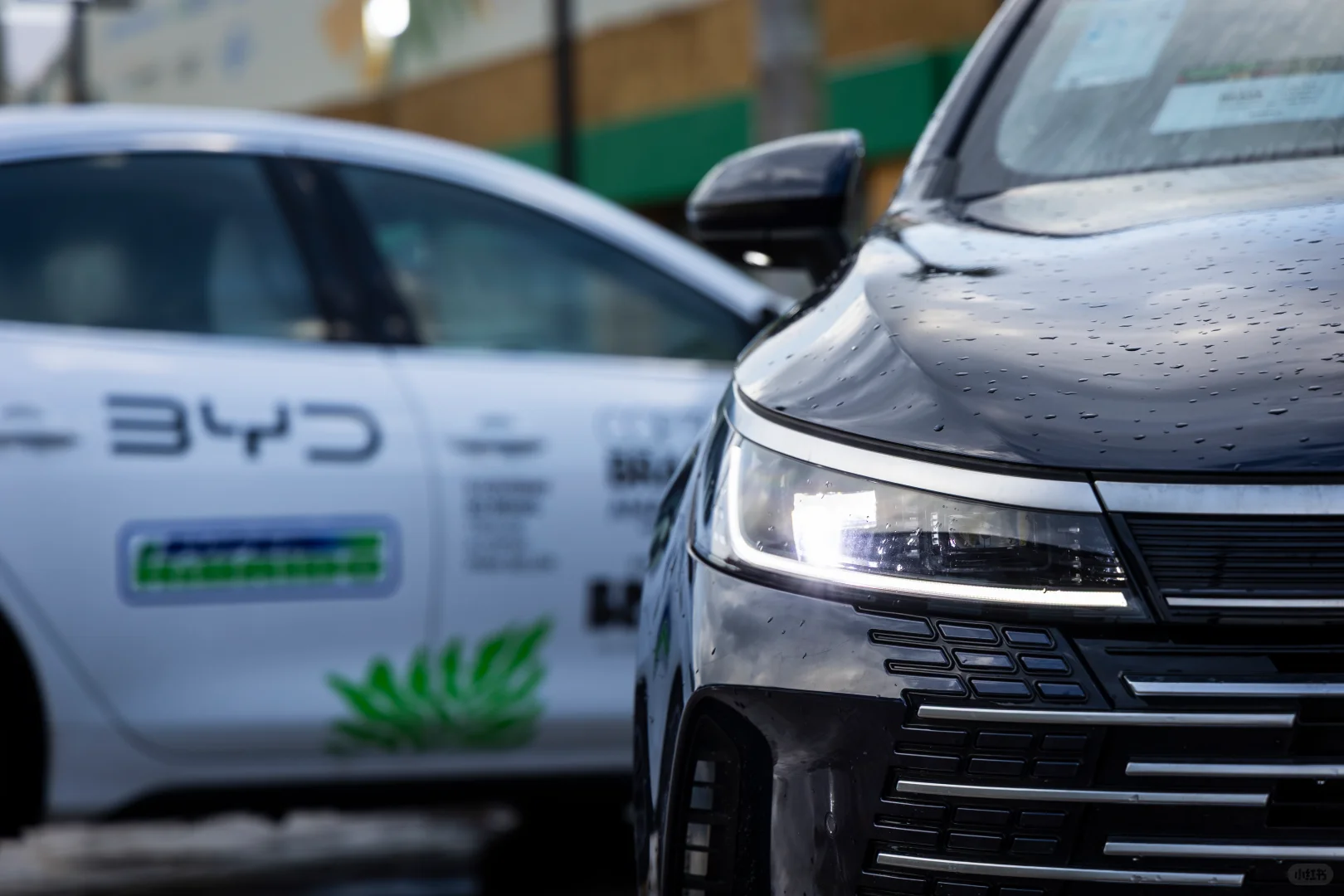 中国方案正在重塑世界的未来