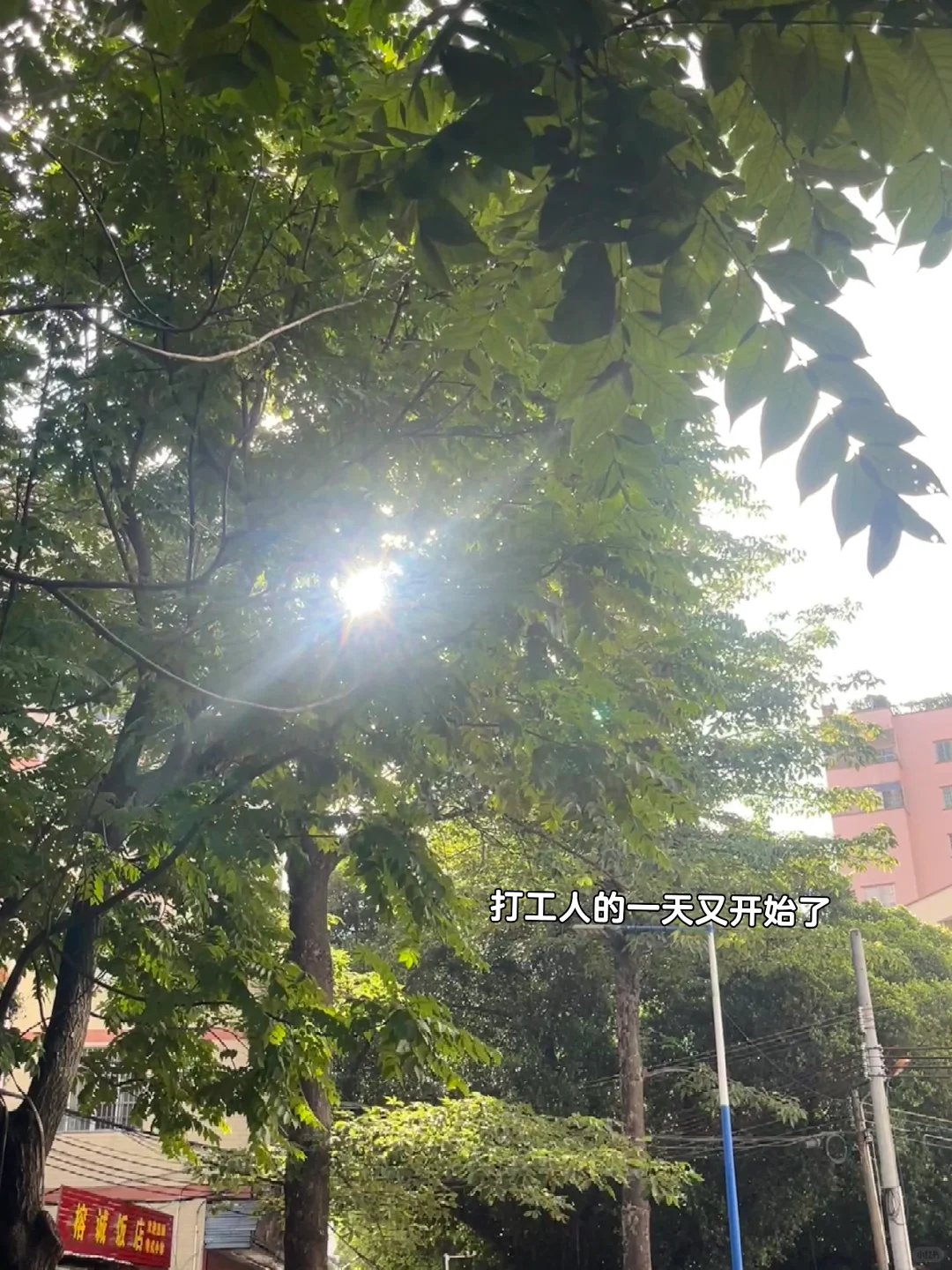 食品研发工作? 食品专业就业怎么样???