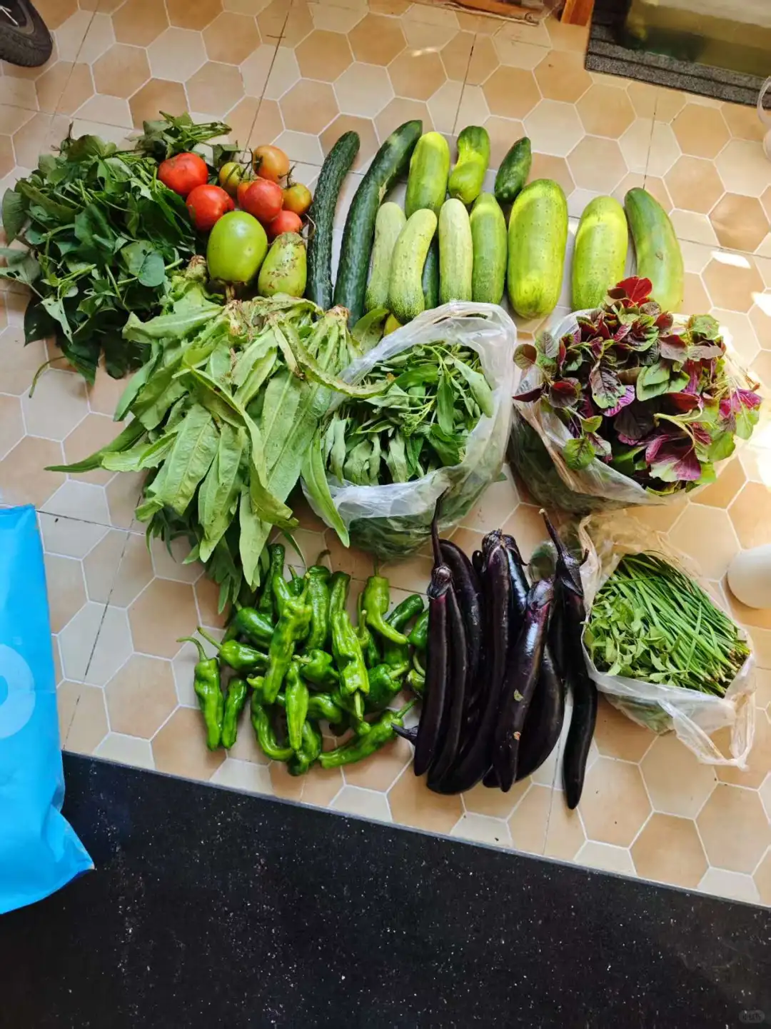 春季的播种迎来了夏季的丰收，自给自足真好