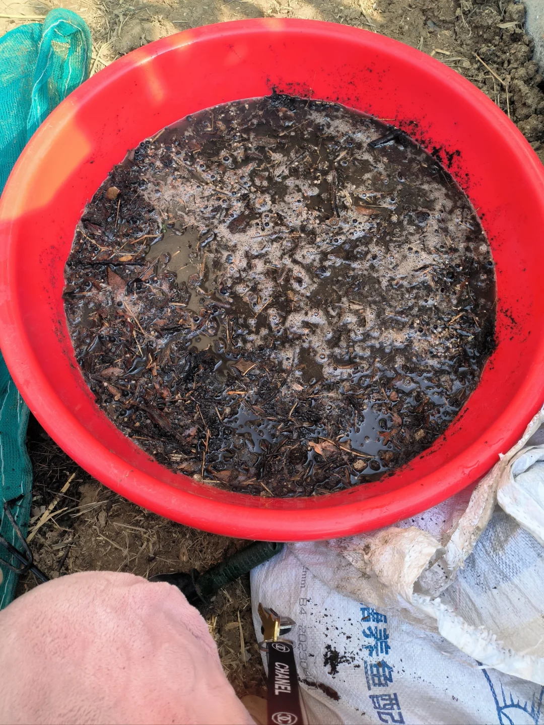 挖来的腐叶土如何处理？